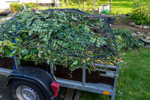  Gueydan, LA Junk Removal Services Pros